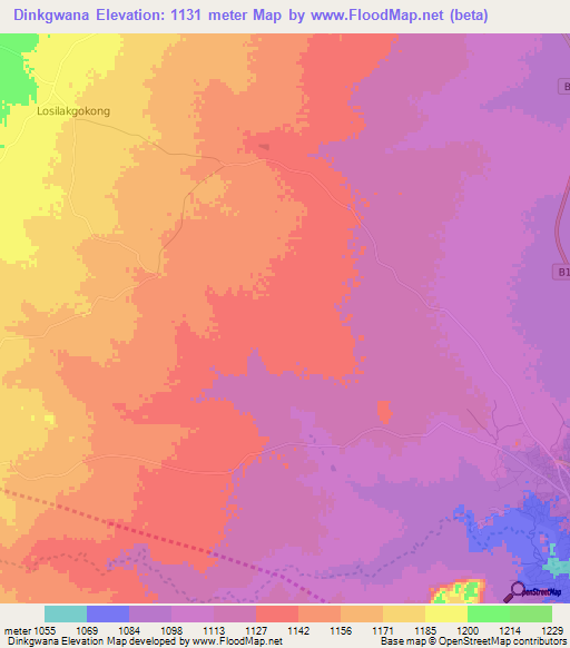 Dinkgwana,Botswana Elevation Map