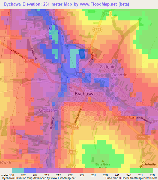 Bychawa,Poland Elevation Map