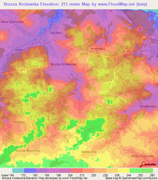 Brzoza Krolewska,Poland Elevation Map