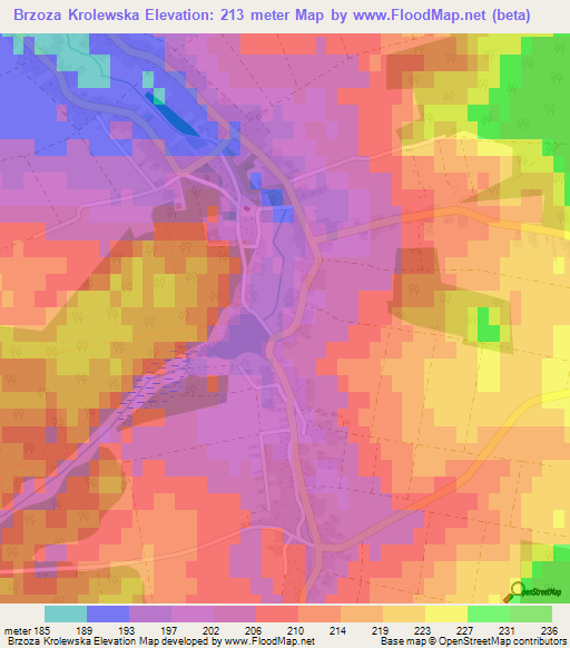 Brzoza Krolewska,Poland Elevation Map