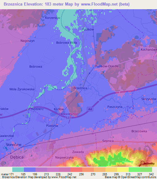 Brzeznica,Poland Elevation Map