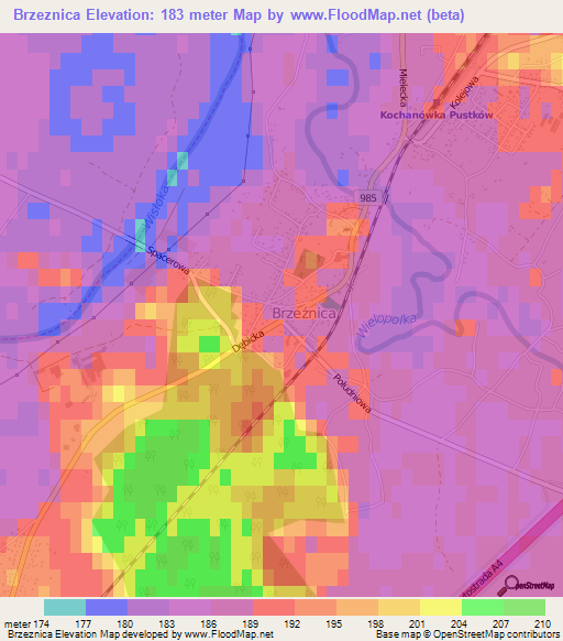 Brzeznica,Poland Elevation Map