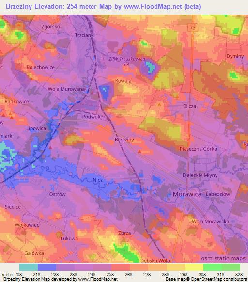 Brzeziny,Poland Elevation Map