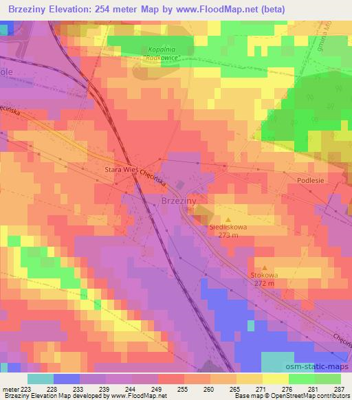 Brzeziny,Poland Elevation Map