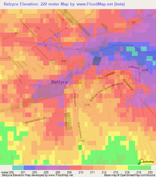 Belzyce,Poland Elevation Map