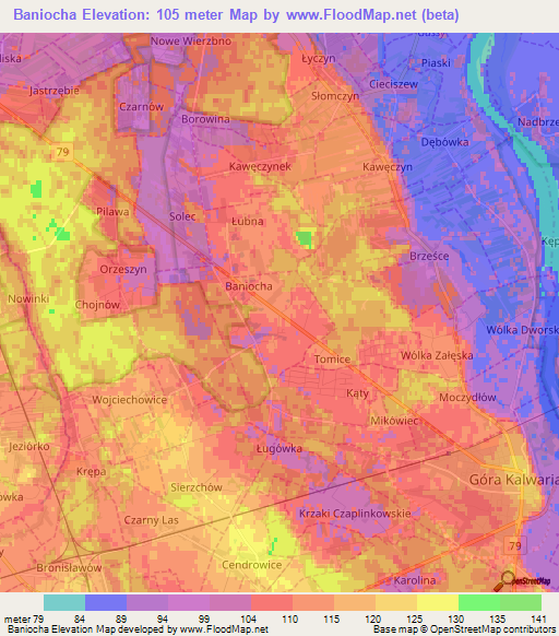 Baniocha,Poland Elevation Map