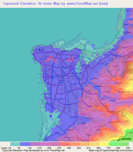Tayouneh,Lebanon Elevation Map