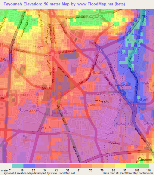 Tayouneh,Lebanon Elevation Map