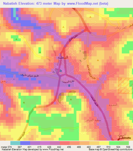 Nabatieh,Lebanon Elevation Map