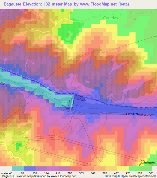 Bagauste,Portugal Elevation Map