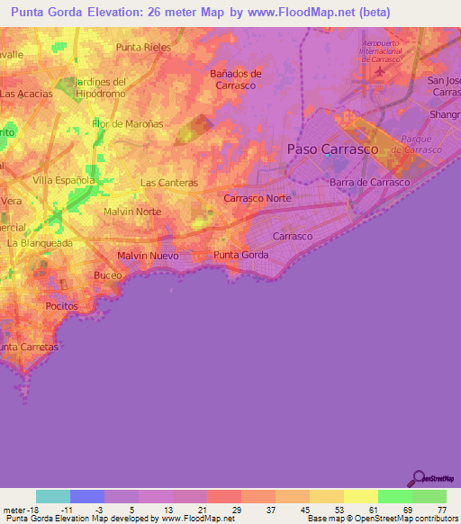 Punta Gorda,Uruguay Elevation Map