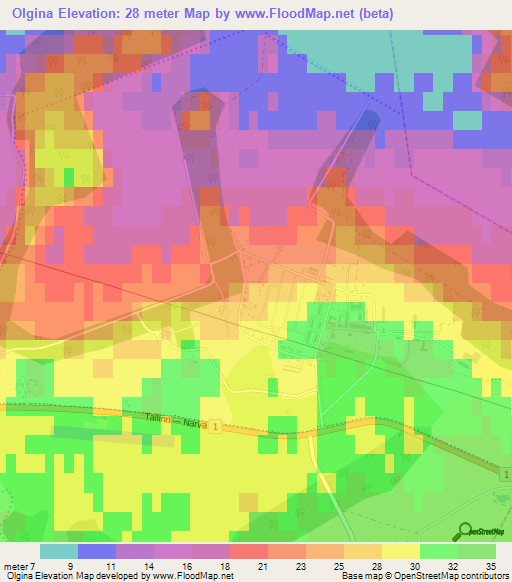 Olgina,Estonia Elevation Map
