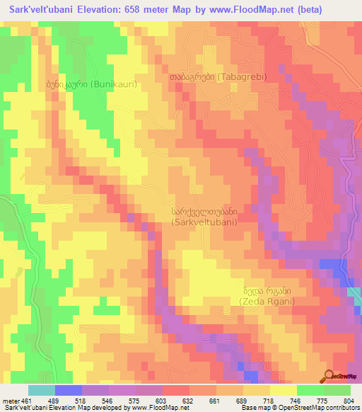 Sark'velt'ubani,Georgia Elevation Map