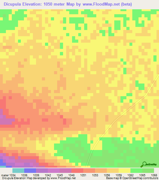 Dicupula,Angola Elevation Map