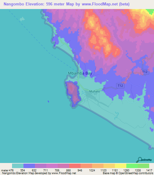 Nangombo,Tanzania Elevation Map