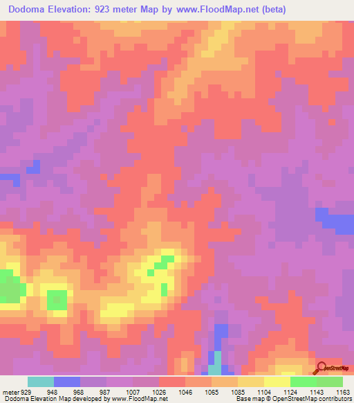 Dodoma,Tanzania Elevation Map