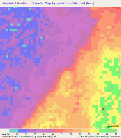 Awjilah,Libya Elevation Map