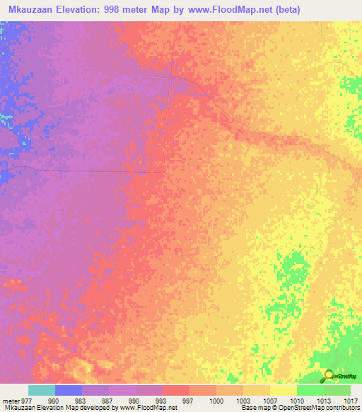 Mkauzaan,Zimbabwe Elevation Map