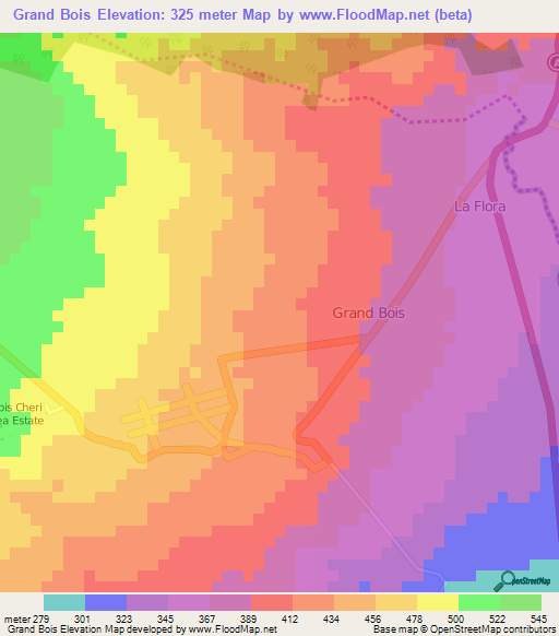 Grand Bois,Mauritius Elevation Map