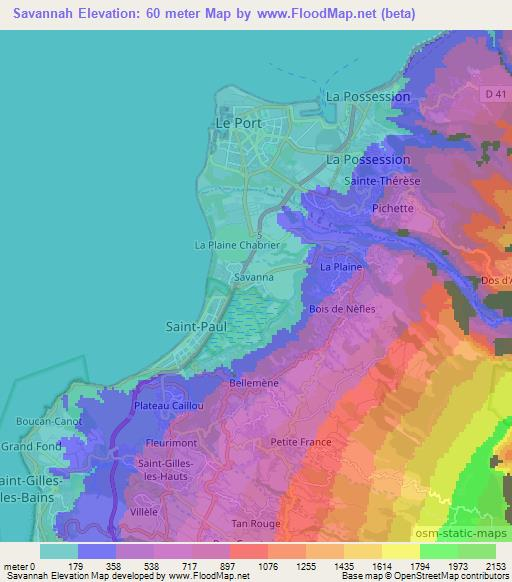 Savannah,Reunion Elevation Map