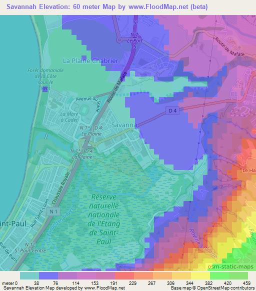 Savannah,Reunion Elevation Map