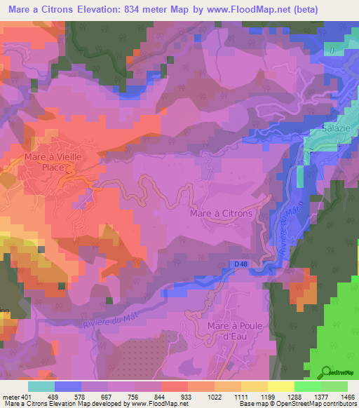 Mare a Citrons,Reunion Elevation Map