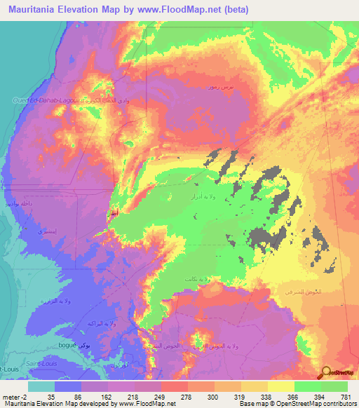 Mauritania Elevation Map