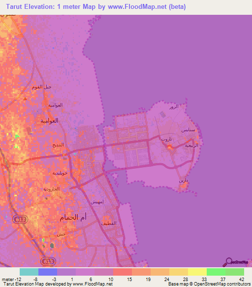 Tarut,Saudi Arabia Elevation Map