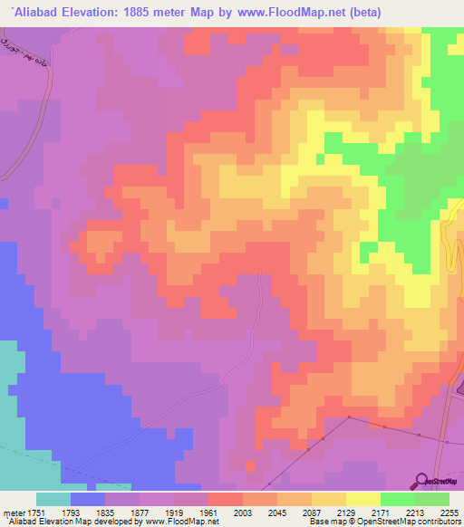`Aliabad,Iran Elevation Map