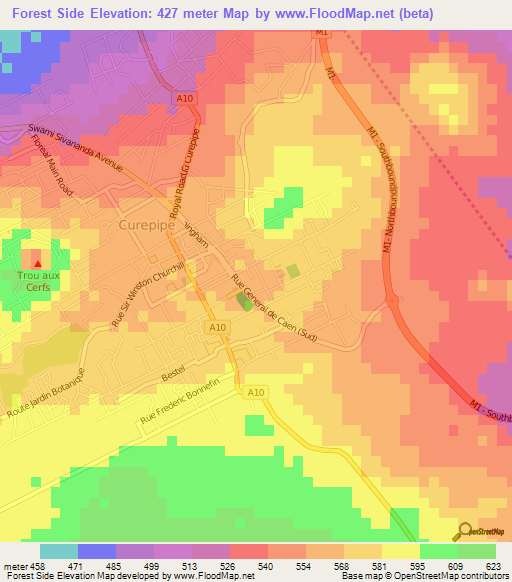Forest Side,Mauritius Elevation Map