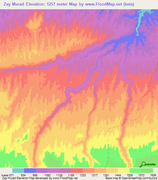 Zay Murad,Afghanistan Elevation Map