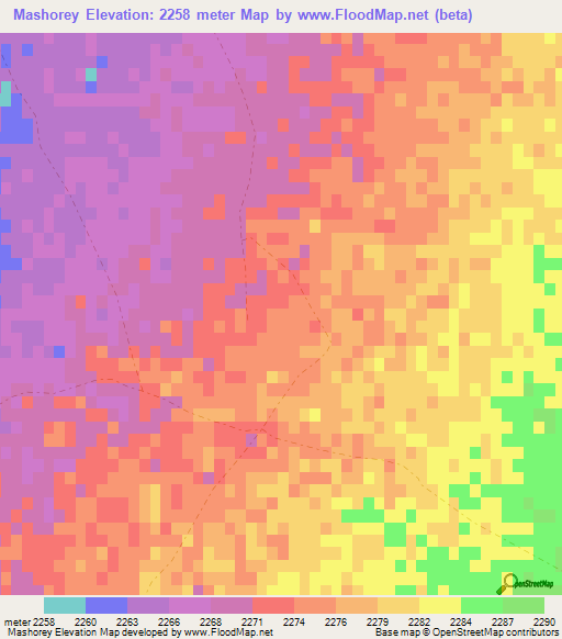 Mashorey,Afghanistan Elevation Map