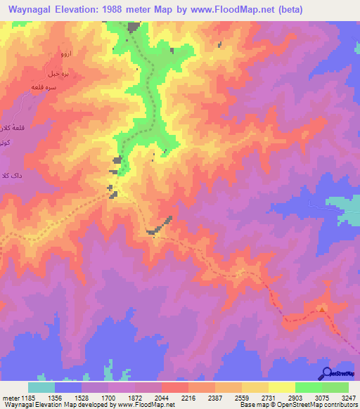 Waynagal,Afghanistan Elevation Map