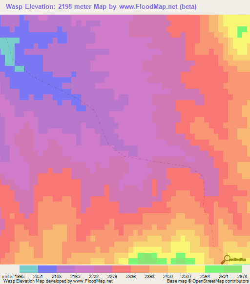 Wasp,Afghanistan Elevation Map