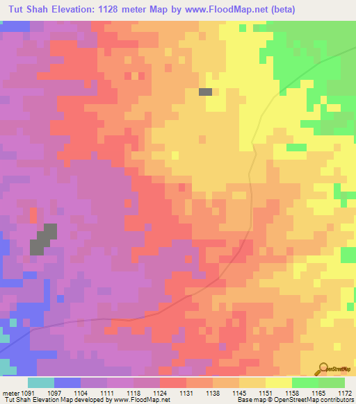Tut Shah,Afghanistan Elevation Map
