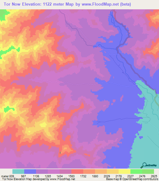 Tor Now,Afghanistan Elevation Map