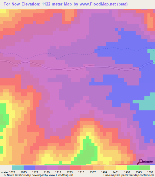 Tor Now,Afghanistan Elevation Map