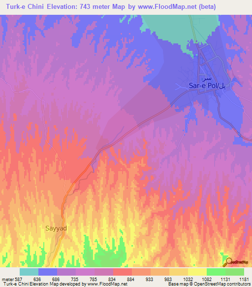 Turk-e Chini,Afghanistan Elevation Map