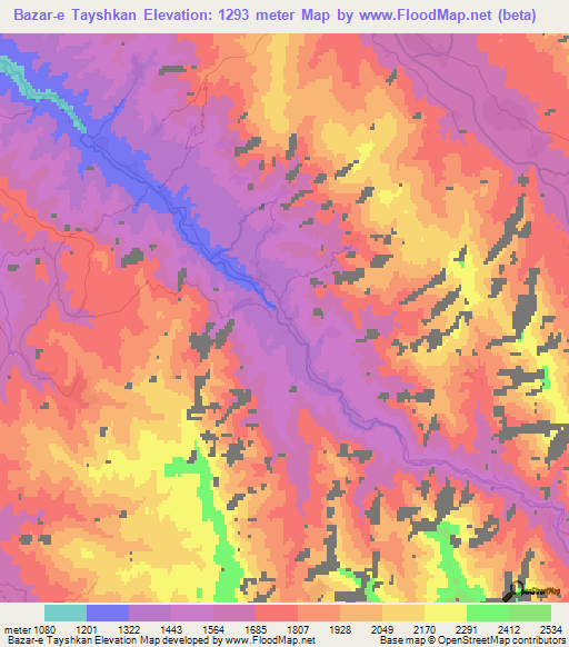 Bazar-e Tayshkan,Afghanistan Elevation Map