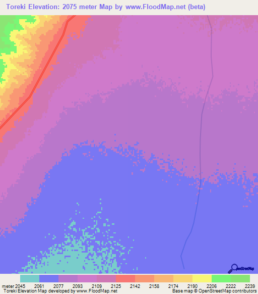 Toreki,Afghanistan Elevation Map