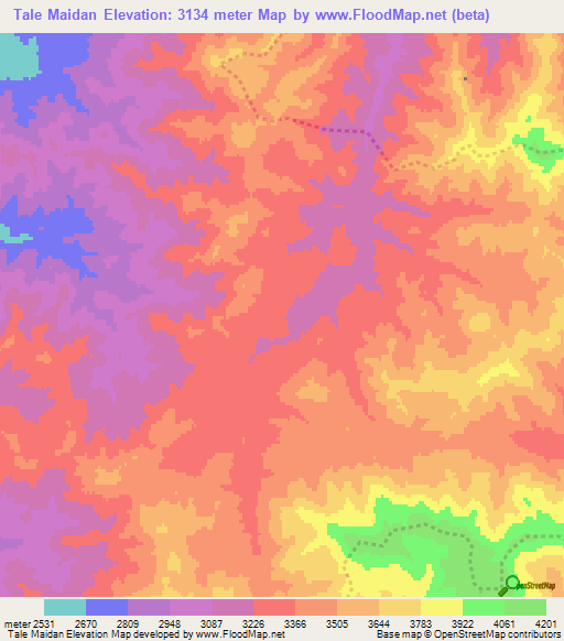 Tale Maidan,Afghanistan Elevation Map