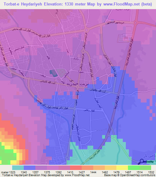 Torbat-e Heydariyeh,Iran Elevation Map
