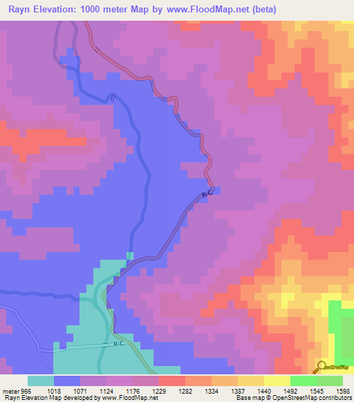 Rayn,Afghanistan Elevation Map