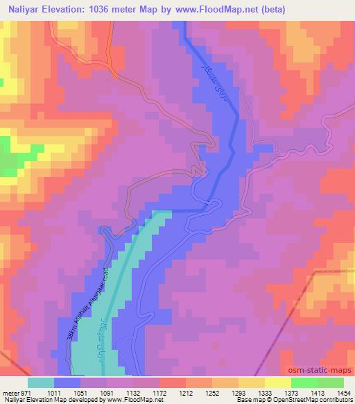 Naliyar,Afghanistan Elevation Map