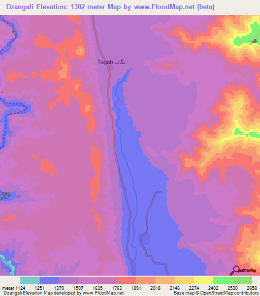 Dzangali,Afghanistan Elevation Map