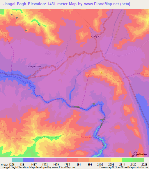 Jangal Bagh,Afghanistan Elevation Map