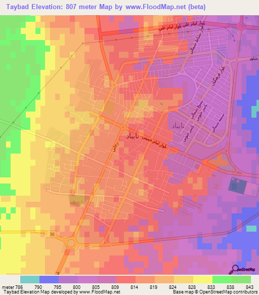 Taybad,Iran Elevation Map