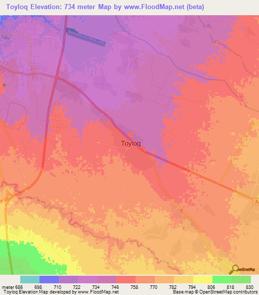 Toyloq,Uzbekistan Elevation Map
