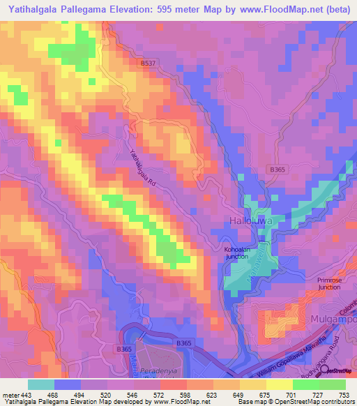 Yatihalgala Pallegama,Sri Lanka Elevation Map