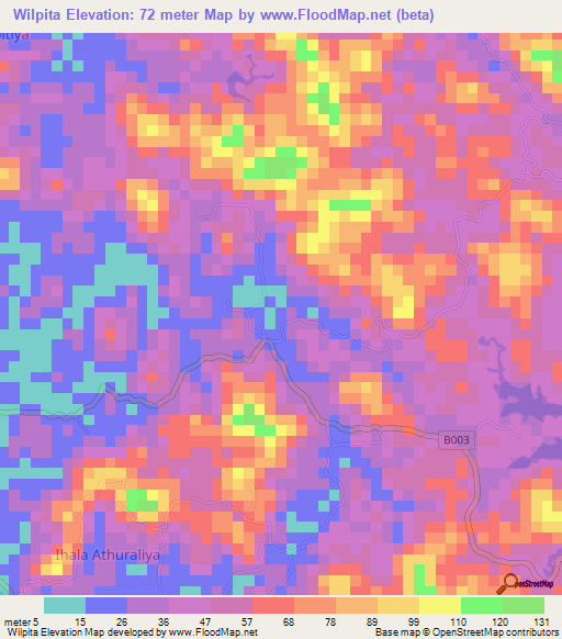 Wilpita,Sri Lanka Elevation Map